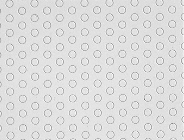 Microdisc Electrode Array 50micron diameter