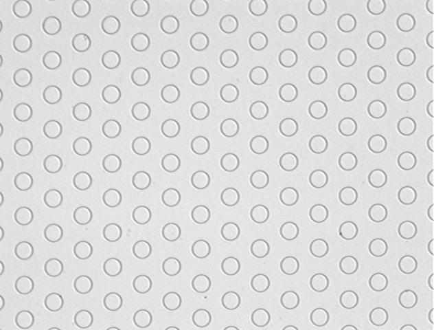 Microdisc Electrode Array 50micron diameter